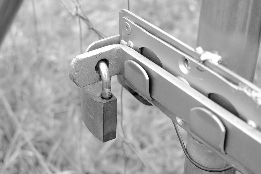 un candado dentro de una cerradura
